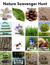 Load image into Gallery viewer, FREE Nature Scavenger Hunt with Pictures
